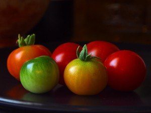 tomatoes_rajcata-4-300x225-1628858