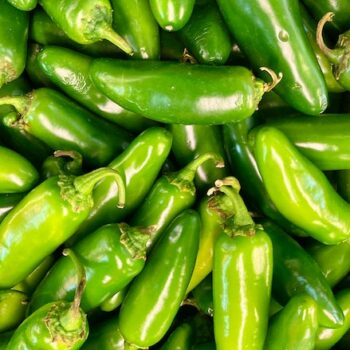 plnene-jalapenos