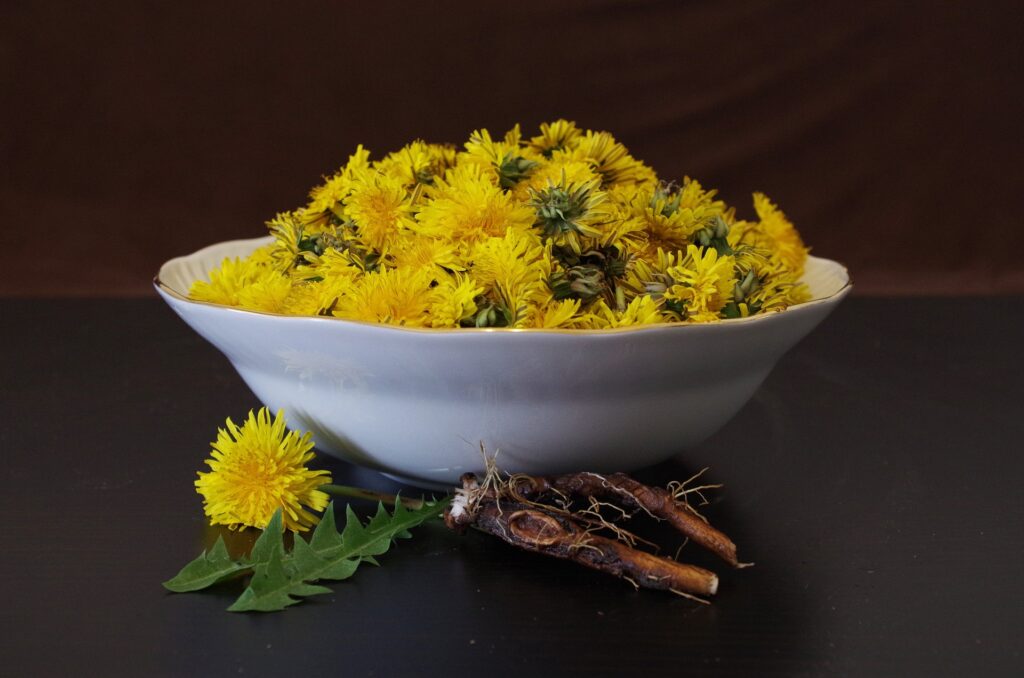 salat-z-pampelisek-9983253
