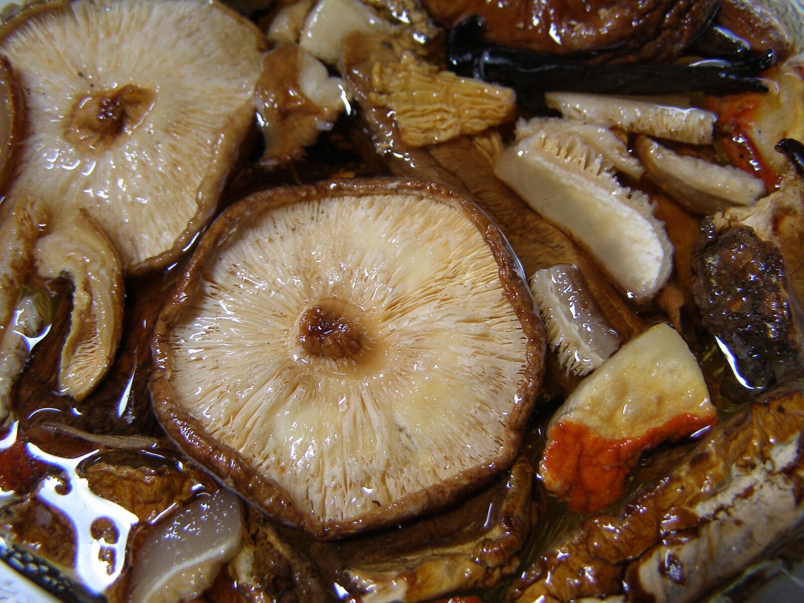 Recept na dušené houby Shiitake Receptik.cz